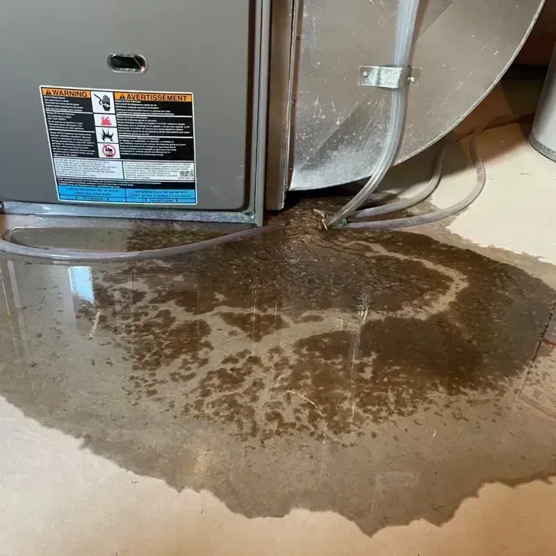 Appliance Leak Cleanup in Murphysboro, IL